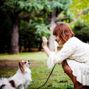 woman training sitting dog