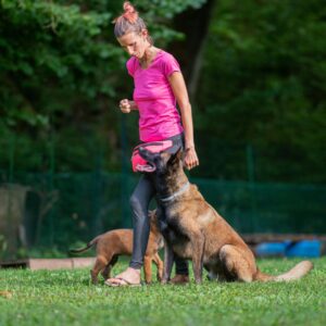 woman training dog
