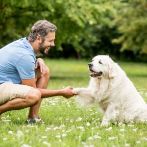 dog shaking paw