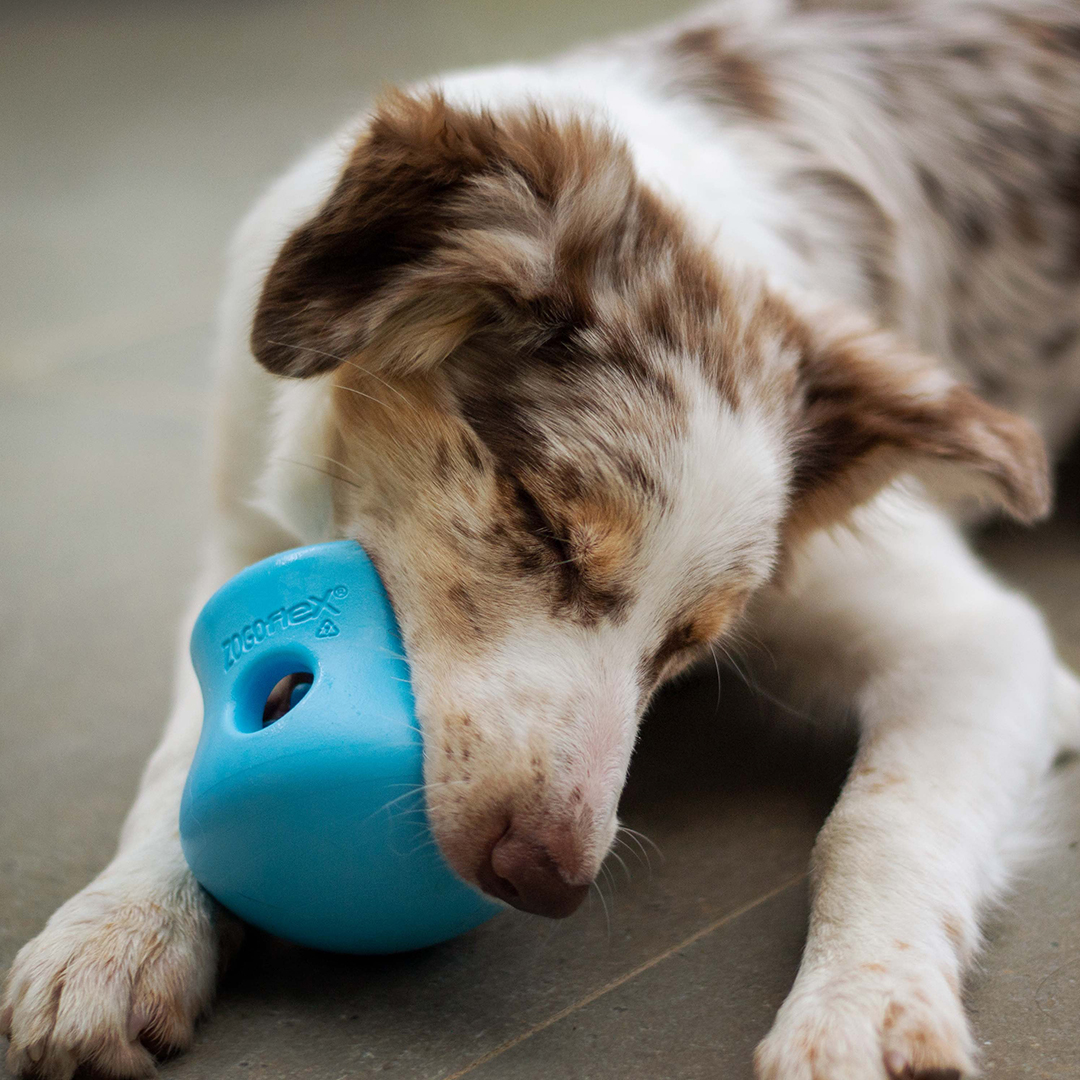 dog enjoying a treat toy