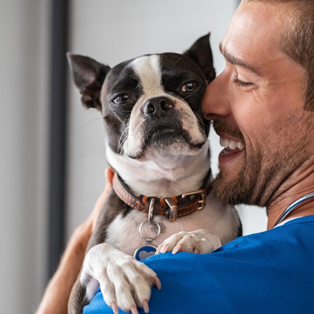 close up of an owner holding their dog over their shoulder