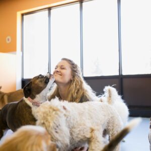 a doggy daycare worker playing with the dogs