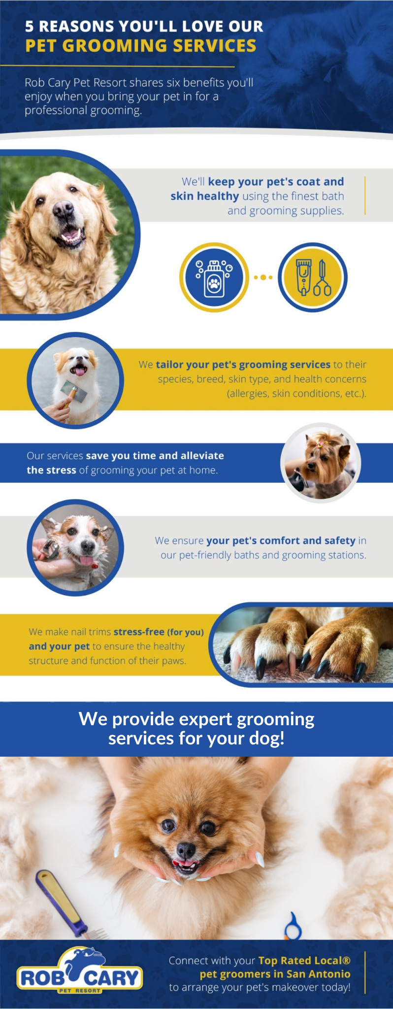 The Benefits and Importance of Regular Pet Grooming - PetSecure