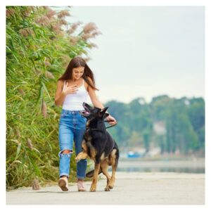 dog walking with owner