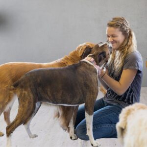 A happy staff member working with dogs