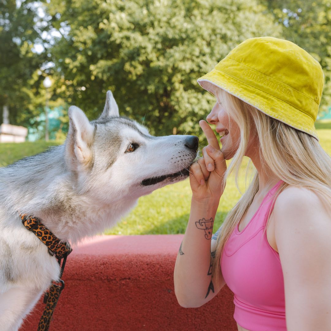 Positive Reinforcement Training.Image4