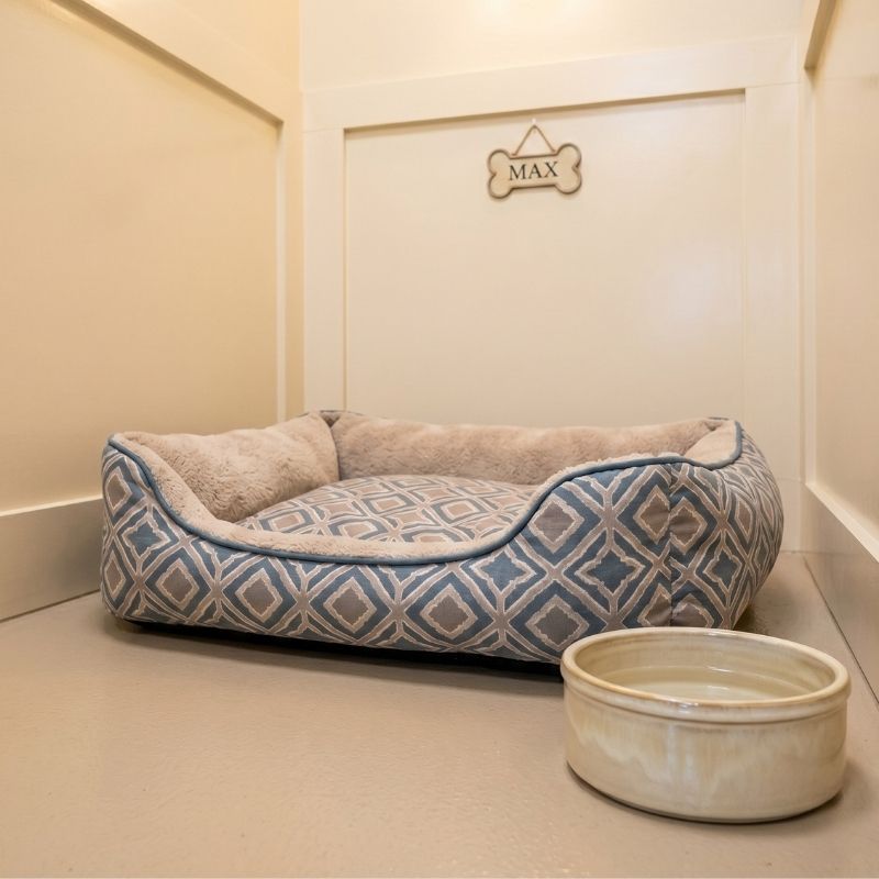 A cozy, close-up interior photograph of a single premium boarding suite at Rob Cary Pet Resort, featuring a personalized 'Bella' ceramic bowl, plush patterned bedding, and a personalized sign on the clean, polished wall.